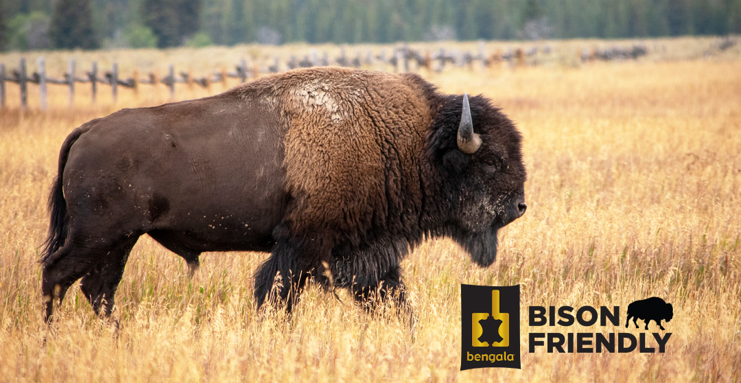 placeholder image-sq